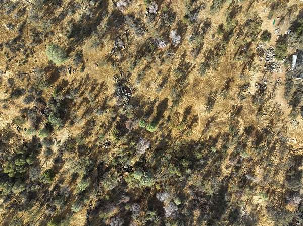 10.8 Acres of Land for Sale in Coarsegold, California