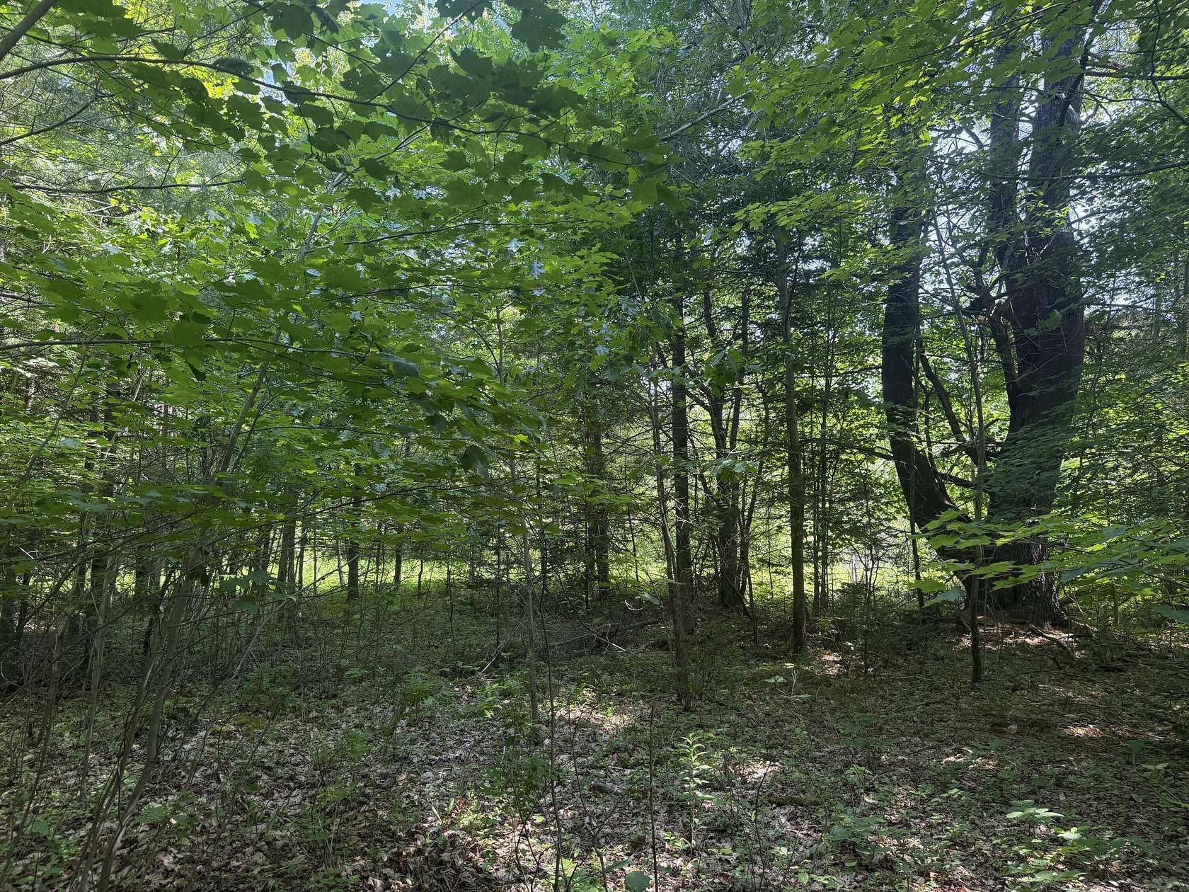 2 Acres of Residential Land for Sale in Gorham, Maine