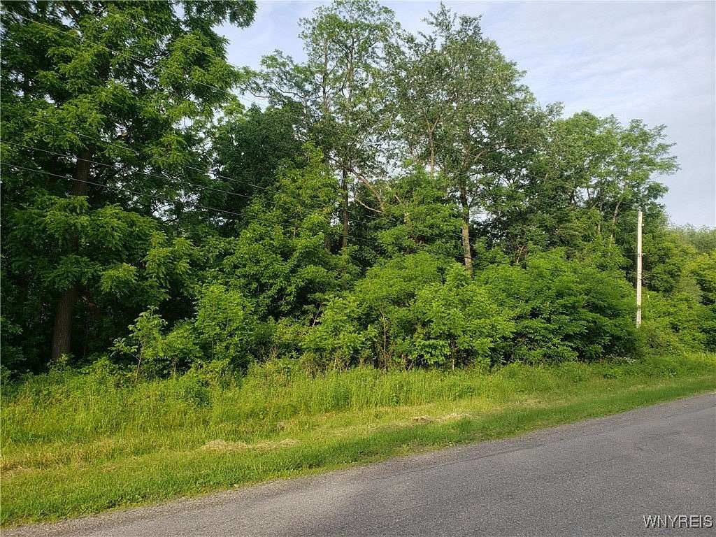 8.6 Acres of Land for Sale in Middleport, New York