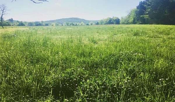 38.5 Acres of Recreational Land for Sale in Moulton, Alabama