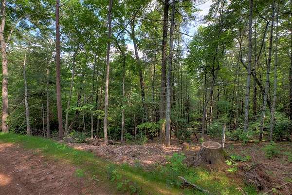 1.5 Acres of Residential Land for Sale in Blue Ridge, Georgia