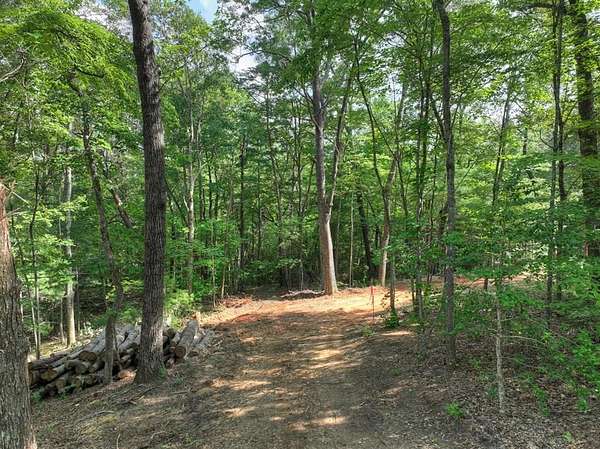 1.5 Acres of Residential Land for Sale in Blue Ridge, Georgia