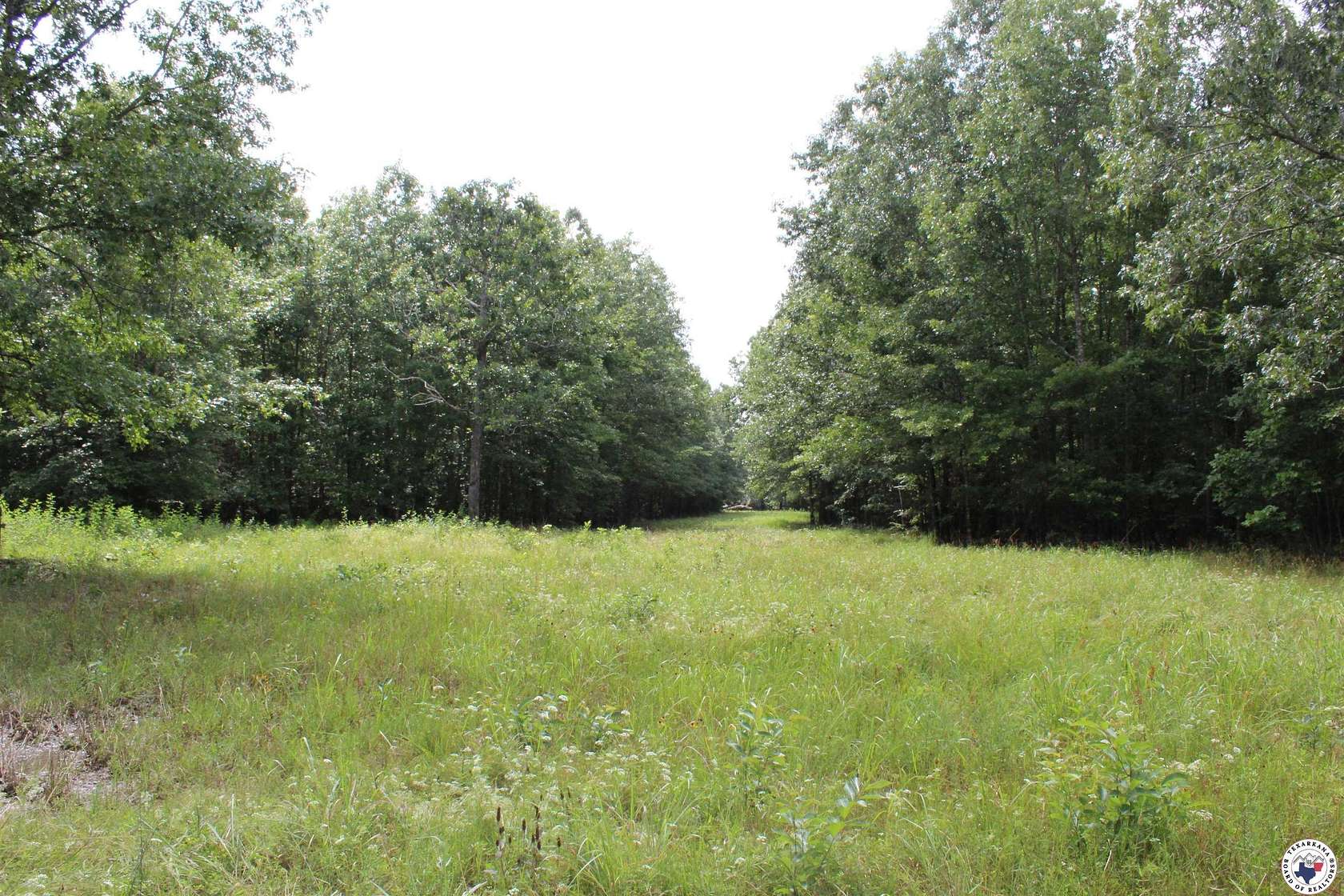 172 Acres of Recreational Land for Sale in De Kalb, Texas