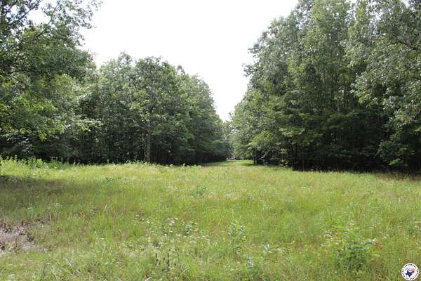 172 Acres of Recreational Land for Sale in De Kalb, Texas