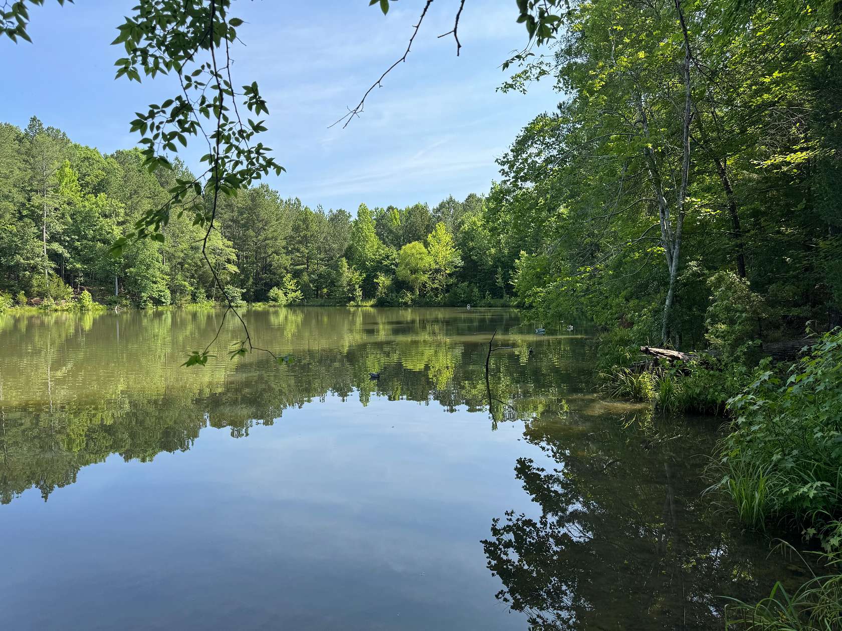 294 Acres of Recreational Land for Sale in Blair, South Carolina