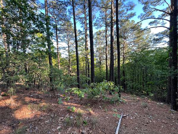 40 Acres of Recreational Land & Farm for Sale in Nashoba, Oklahoma