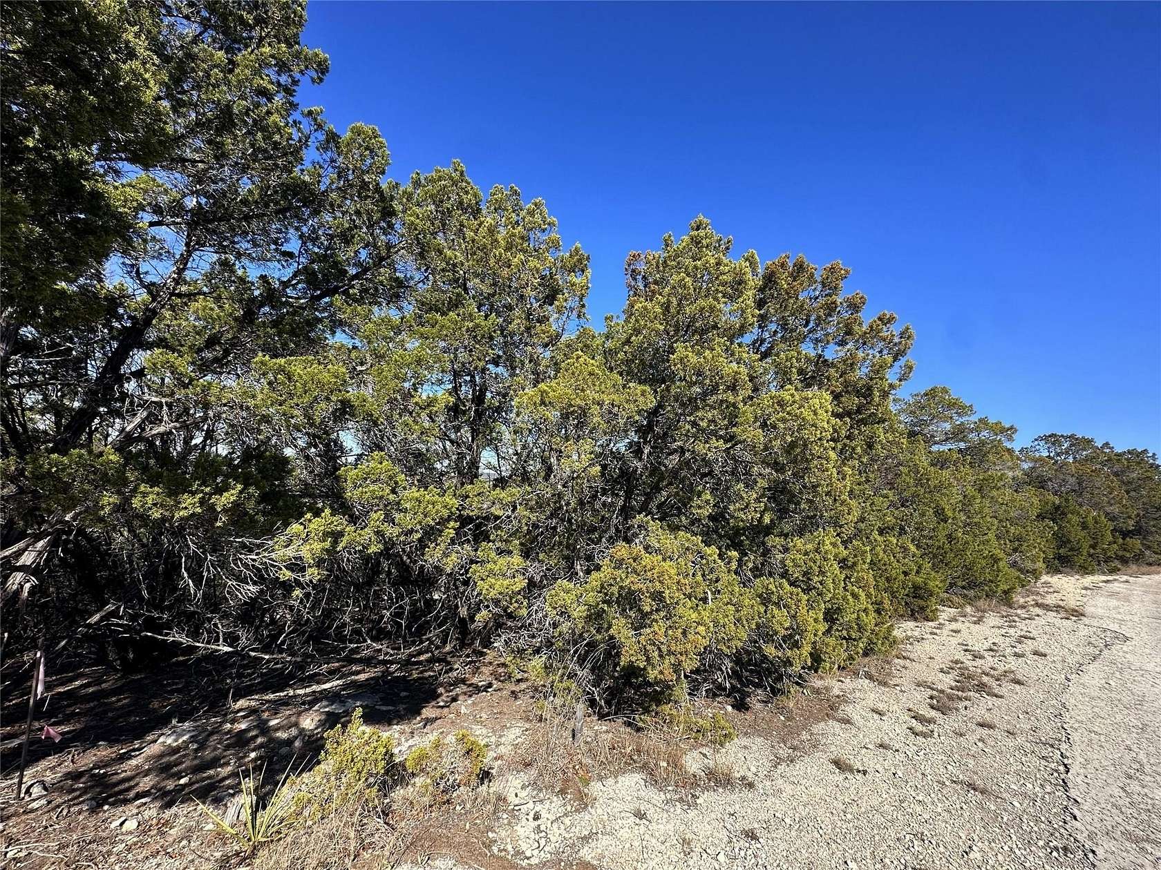 0.46 Acres of Residential Land for Sale in Lago Vista, Texas