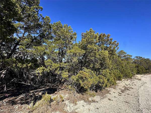 0.46 Acres of Residential Land for Sale in Lago Vista, Texas