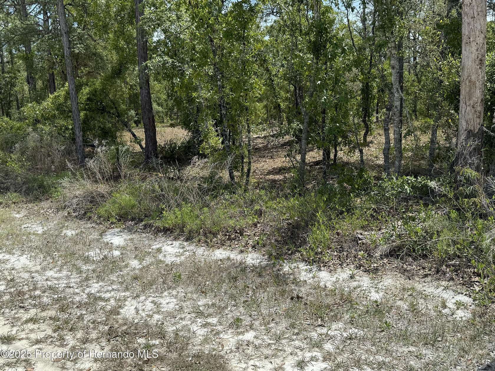 0.46 Acres of Residential Land for Sale in Brooksville, Florida