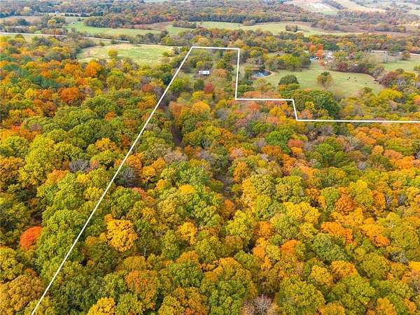 40 Acres of Agricultural Land for Sale in Lincoln, Arkansas