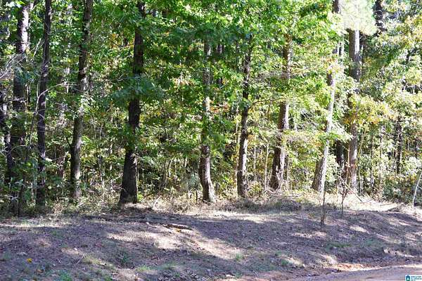 0.46 Acres of Residential Land for Sale in Lakeview, Alabama