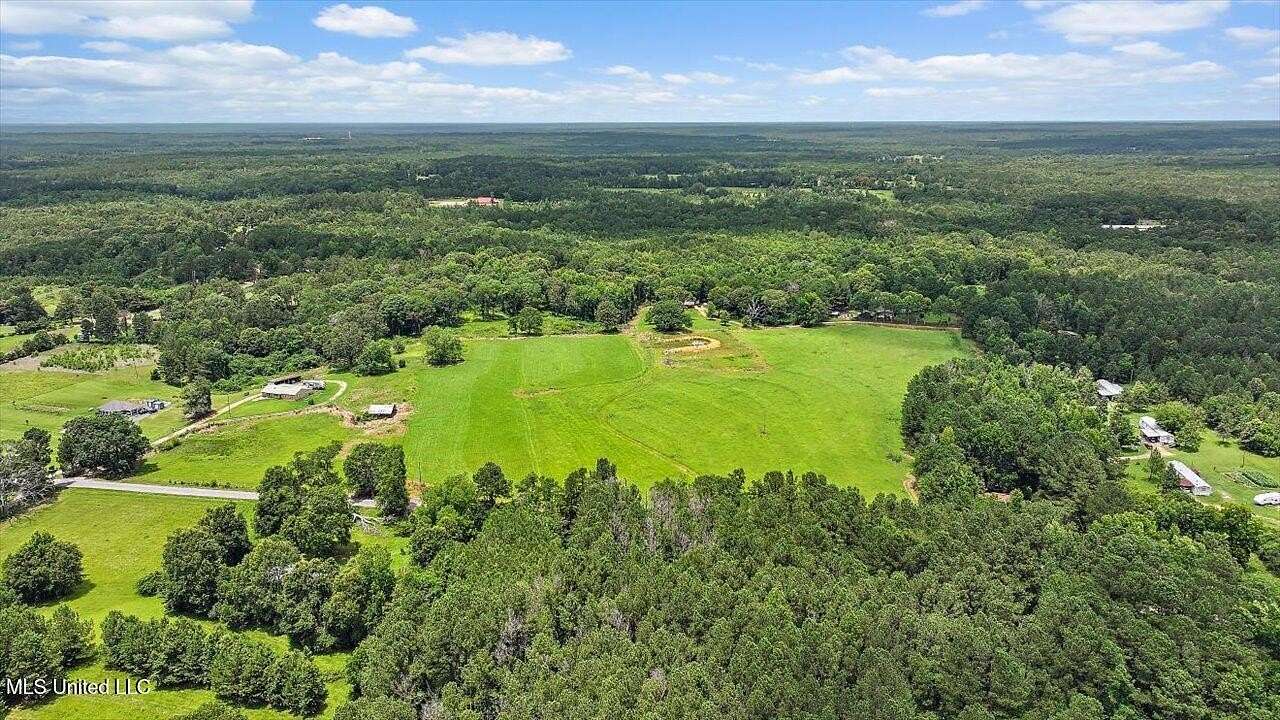 25 Acres of Agricultural Land for Sale in Mendenhall, Mississippi