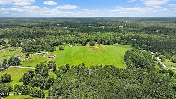 25 Acres of Agricultural Land for Sale in Mendenhall, Mississippi