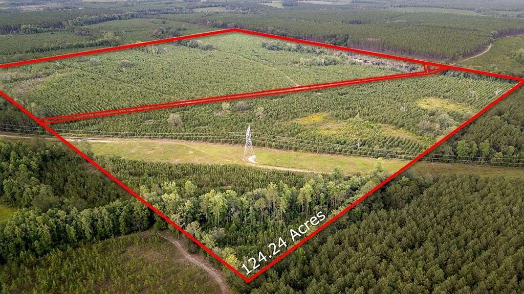 124 Acres of Recreational Land for Sale in Baxley, Georgia
