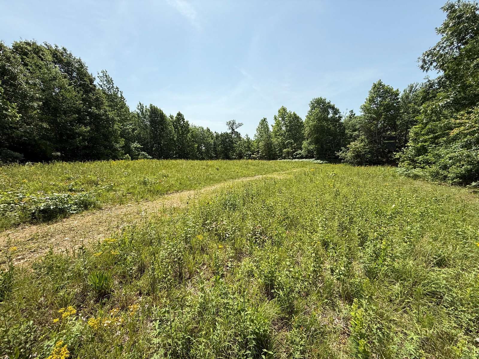 78 Acres of Recreational Land & Farm for Sale in Holladay, Tennessee