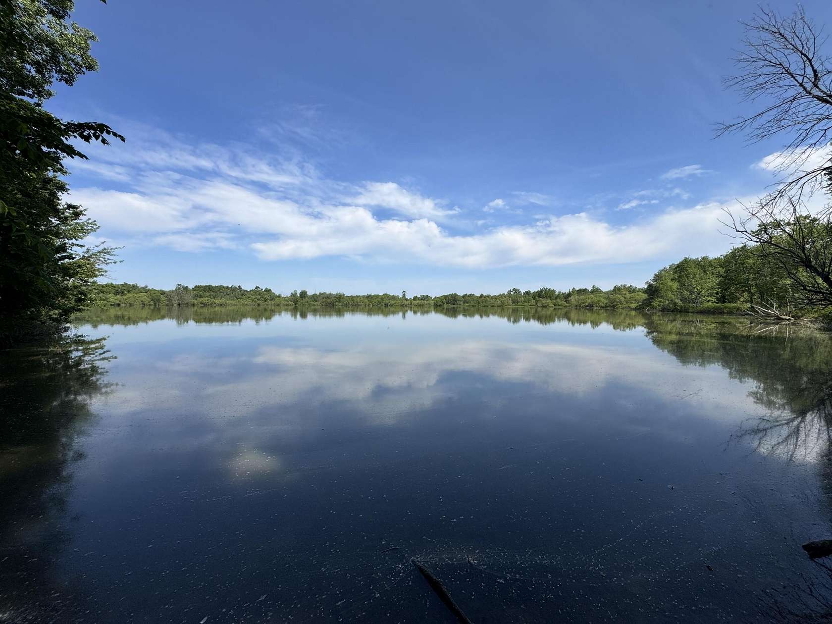 184 Acres of Recreational Land for Sale in Mayville, Michigan