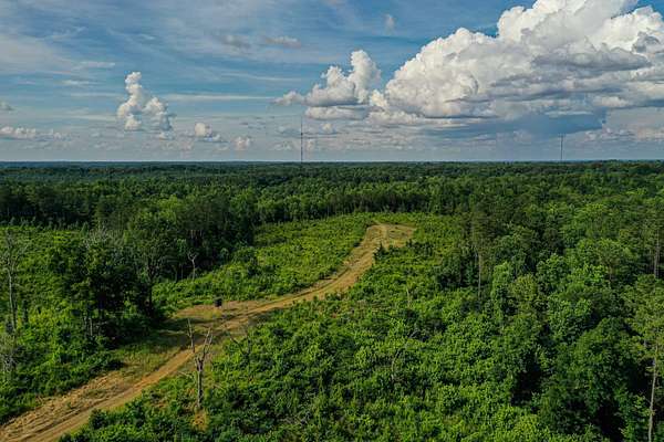 190 Acres of Recreational Land for Sale in Pontotoc, Mississippi