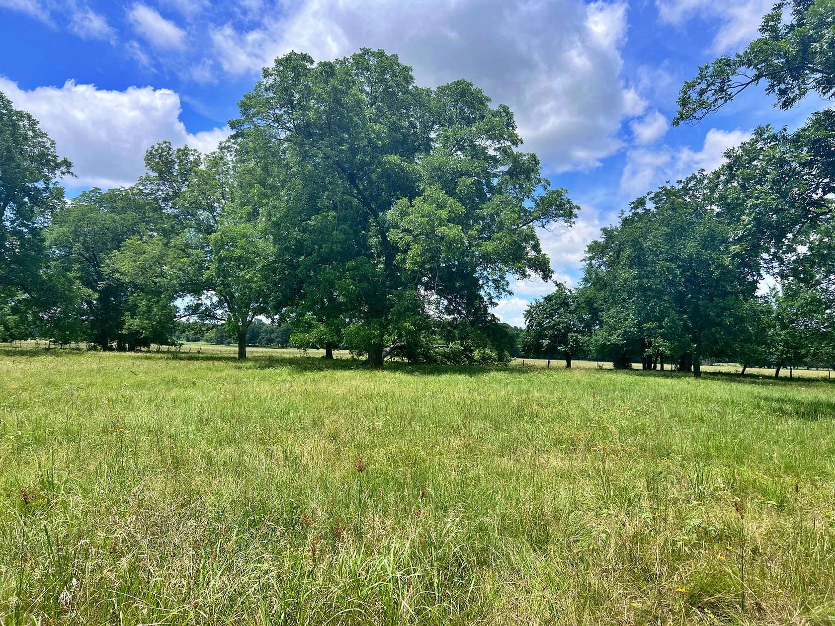 277 Acres of Improved Land for Sale in Lake Creek, Texas