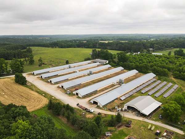 14 Acres of Agricultural Land for Sale in Vinemont, Alabama