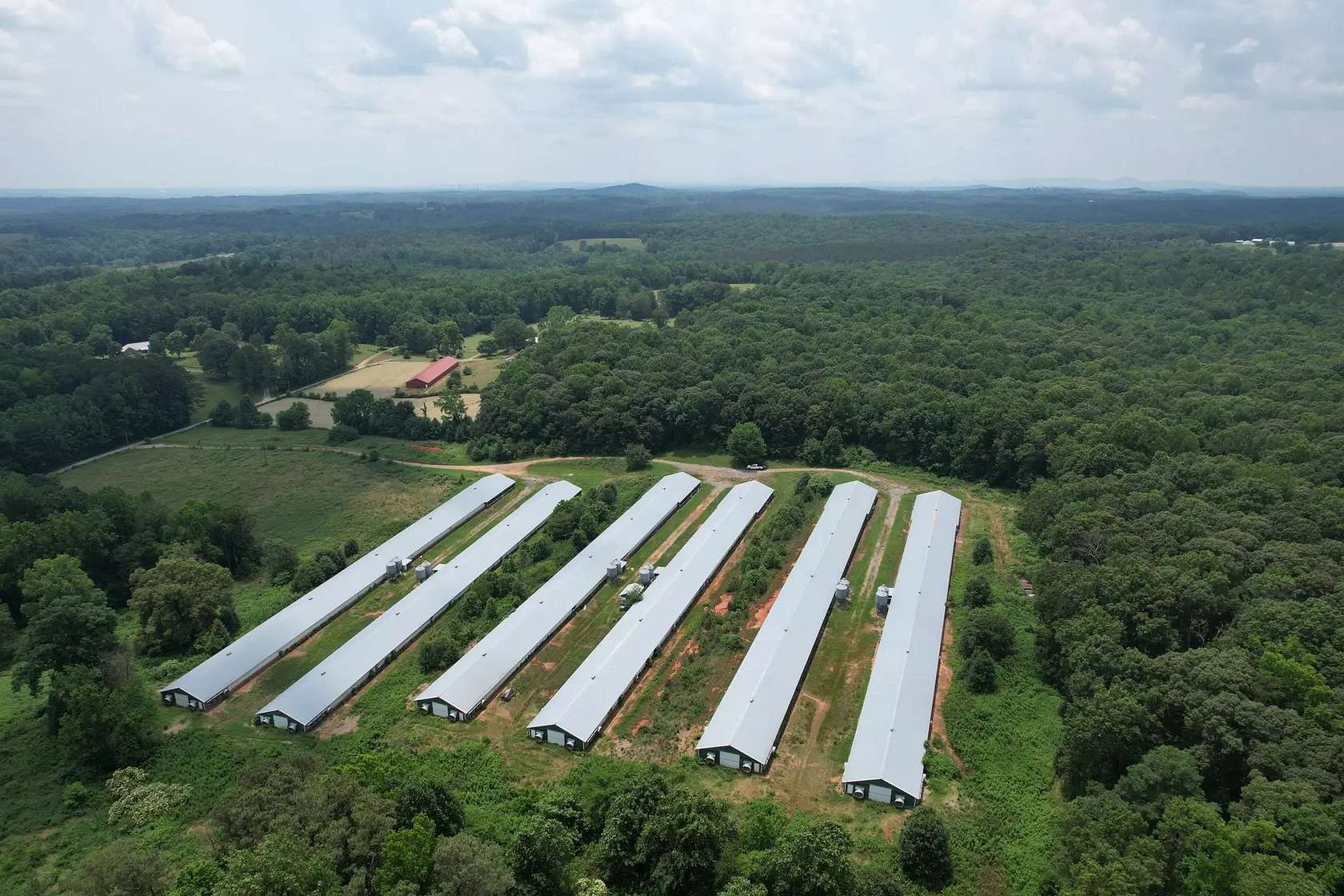 27 Acres of Agricultural Land for Sale in Dawsonville, Georgia