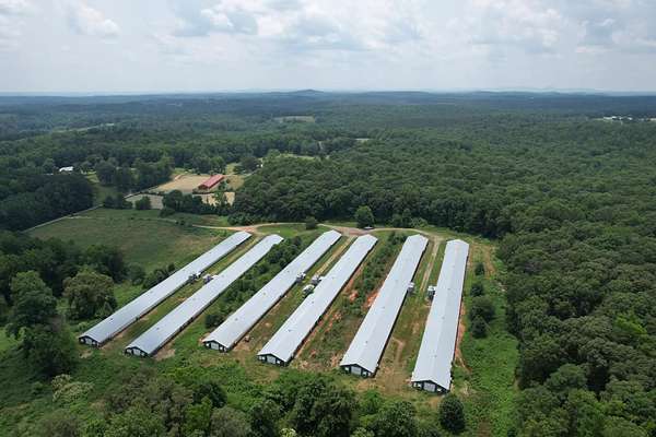 27 Acres of Agricultural Land for Sale in Dawsonville, Georgia