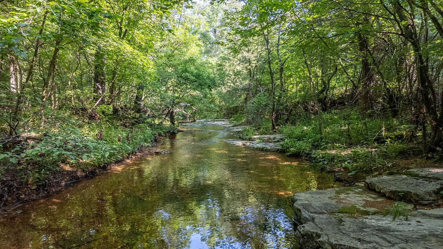 40 Acres of Land for Sale in Ravenden, Arkansas