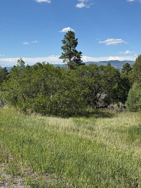 19.5 Acres of Land for Sale in Tierra Amarilla, New Mexico