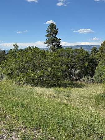 19.5 Acres of Land for Sale in Tierra Amarilla, New Mexico