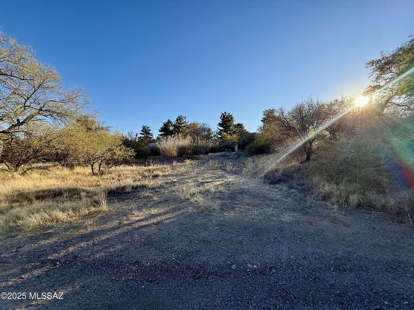 0.4 Acres of Residential Land for Sale in Oracle, Arizona
