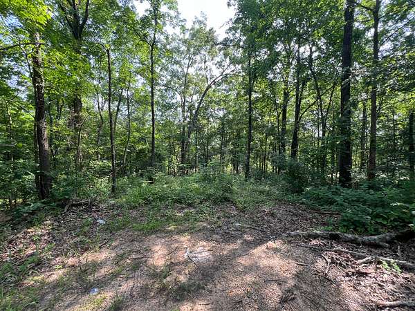 0.75 Acres of Residential Land for Sale in Wappapello, Missouri