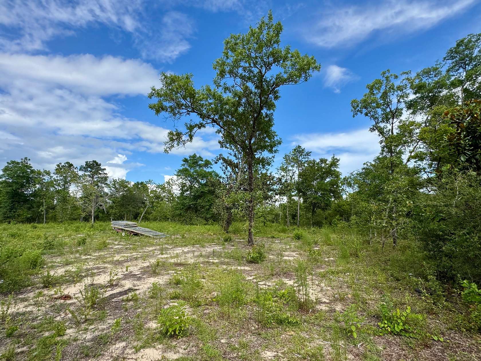 1.14 Acres of Land for Sale in Alford, Florida