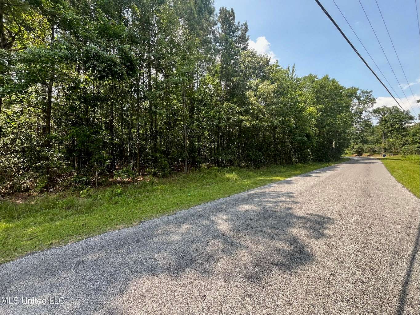 10 Acres of Land for Sale in Heidelberg, Mississippi