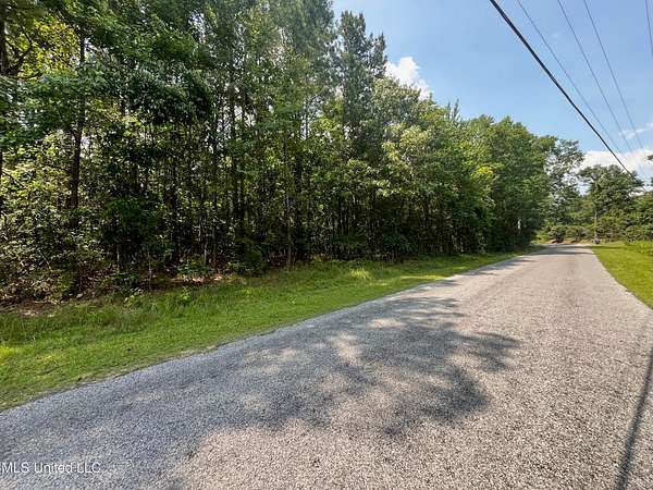10 Acres of Land for Sale in Heidelberg, Mississippi
