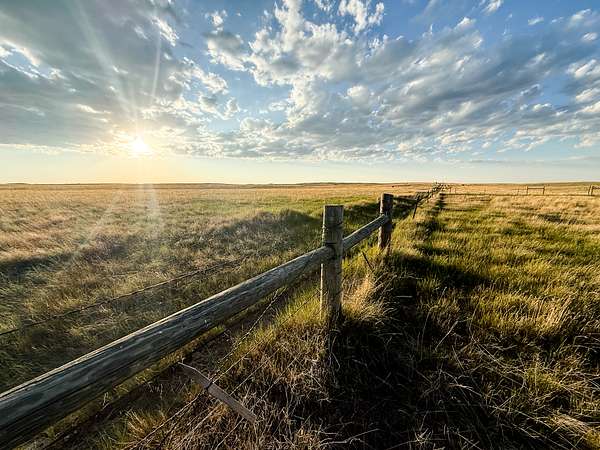 2,636 Acres of Recreational Land & Farm for Sale in Saco, Montana