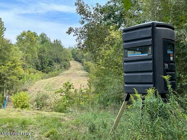 60 Acres of Land for Sale in Yazoo City, Mississippi