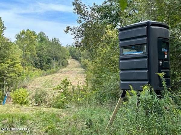 60 Acres of Land for Sale in Yazoo City, Mississippi