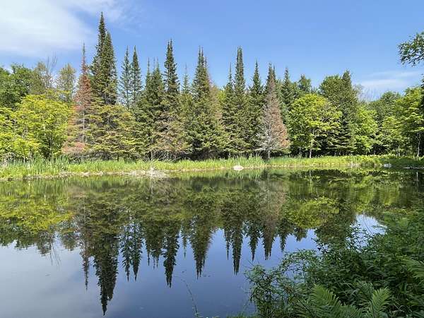 32.4 Acres of Recreational Land for Sale in Raber, Michigan
