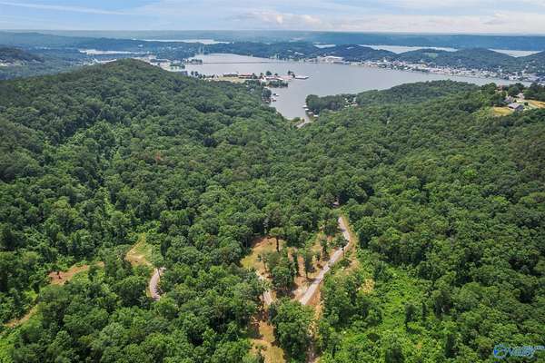 121 Acres of Recreational Land for Sale in Guntersville, Alabama
