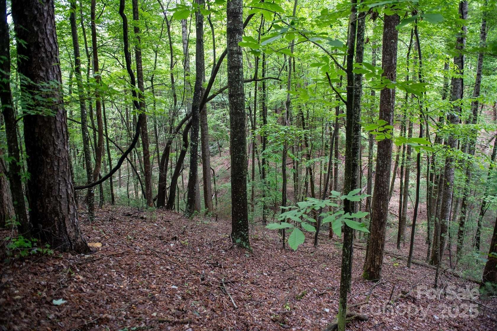 11.4 Acres of Land for Sale in McGrady, North Carolina