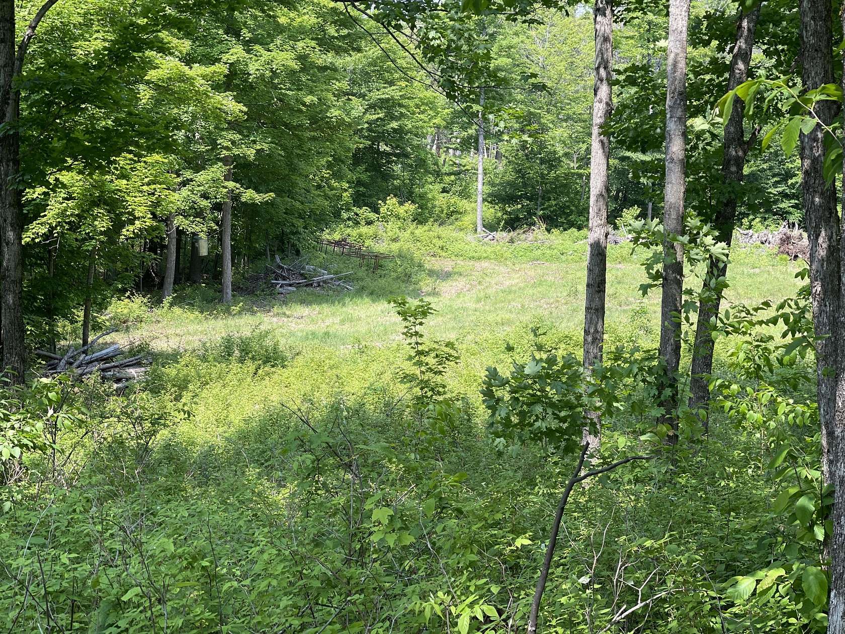 31.4 Acres of Recreational Land for Sale in Raber, Michigan