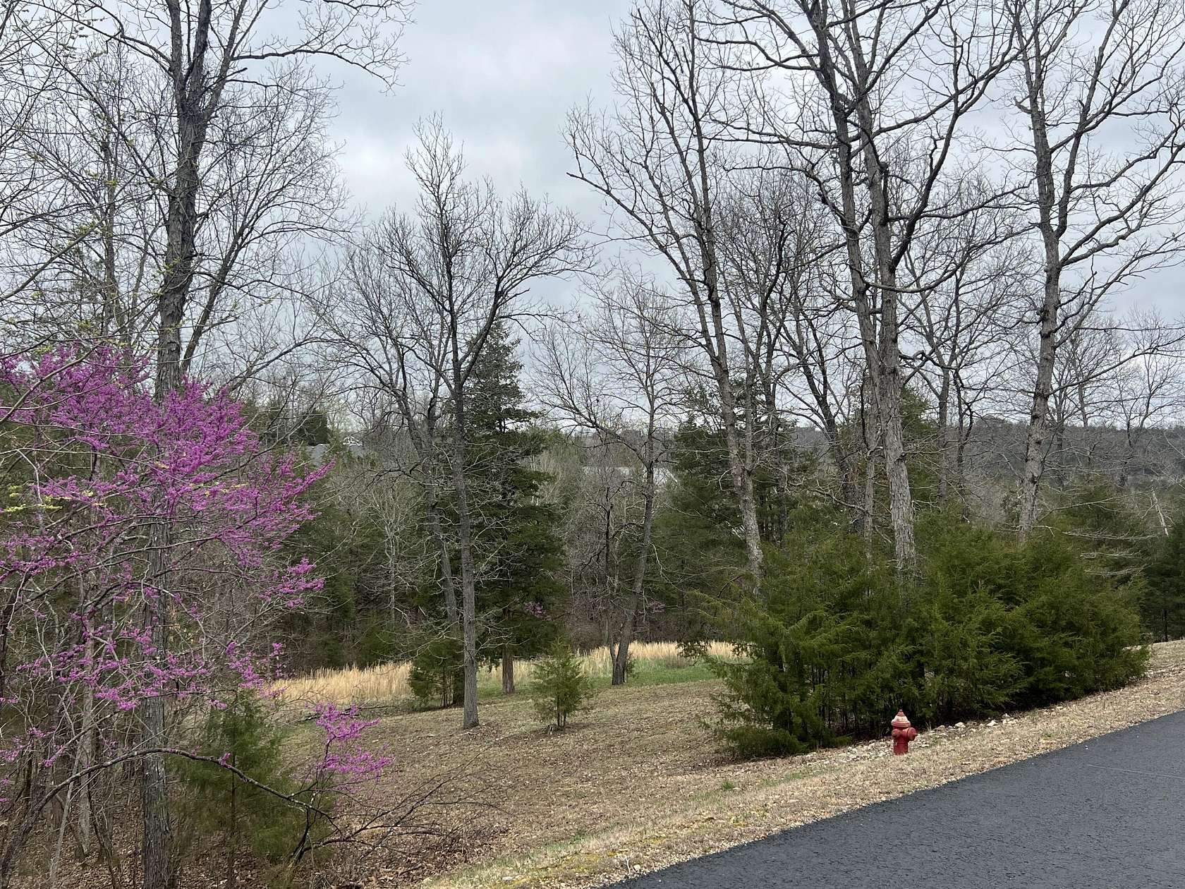 1 Acre of Residential Land for Sale in Saddlebrooke, Missouri