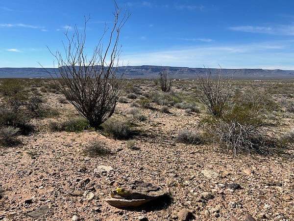 2.35 Acres of Land for Sale in Yucca, Arizona