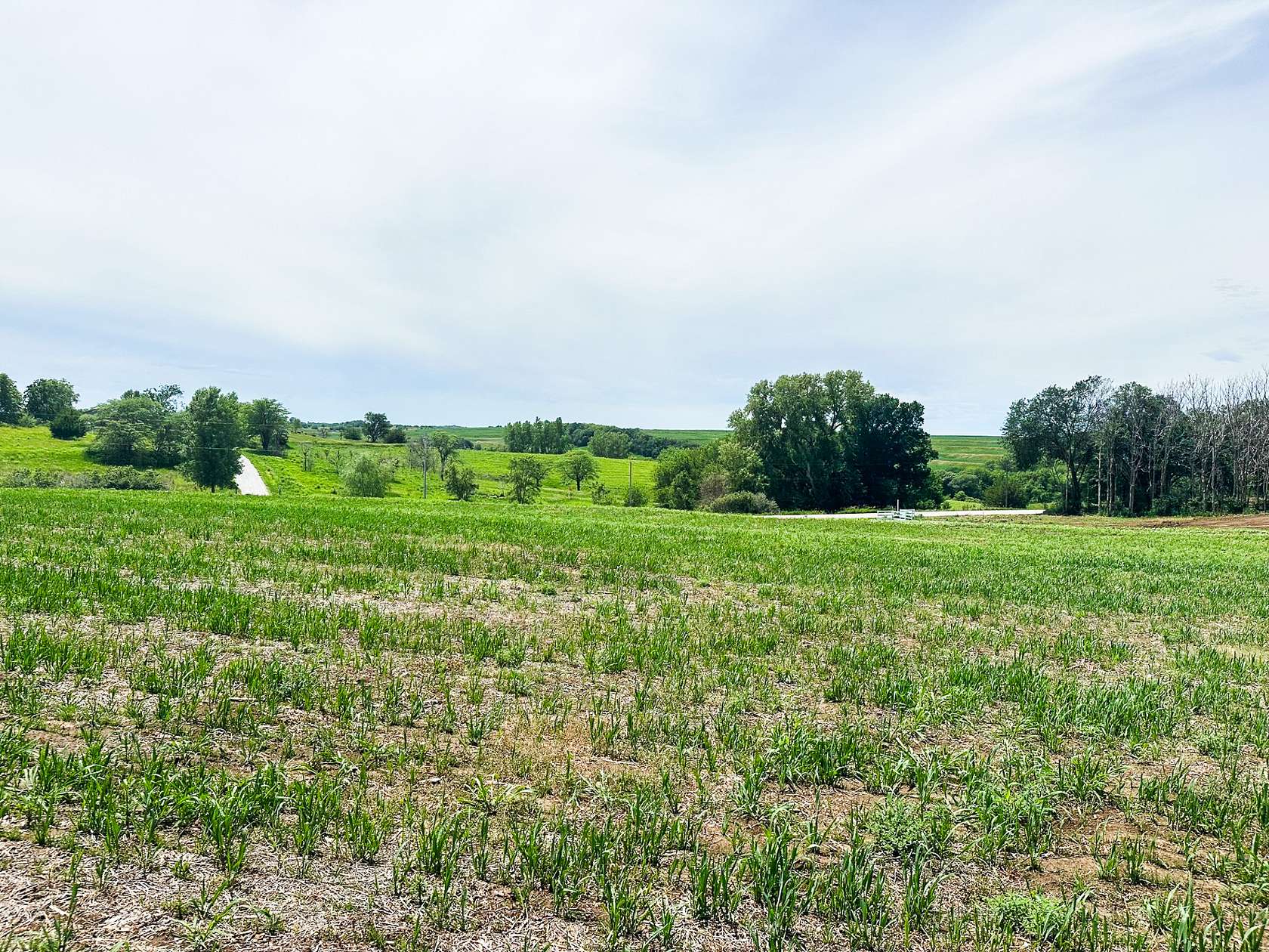 5 Acres of Land for Sale in Glenwood, Iowa