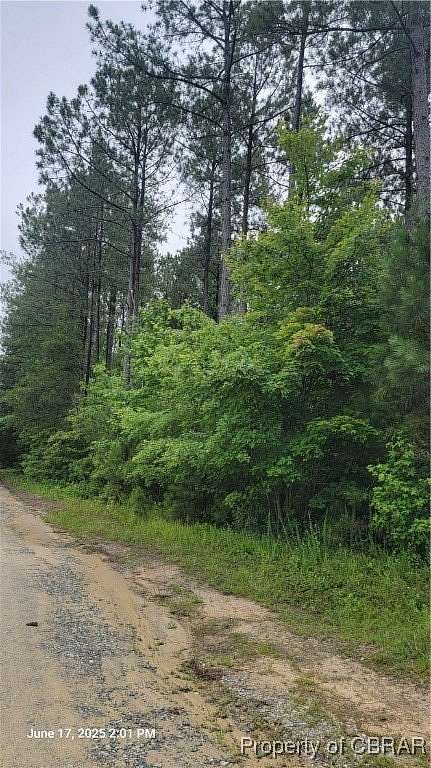 30 Acres of Agricultural Land for Sale in Gloucester, Virginia