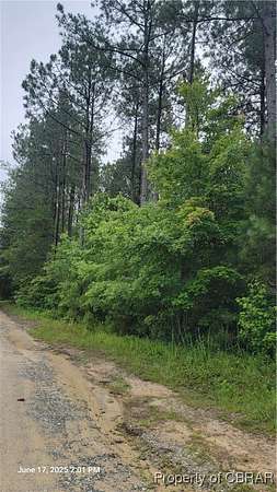 30 Acres of Agricultural Land for Sale in Gloucester, Virginia