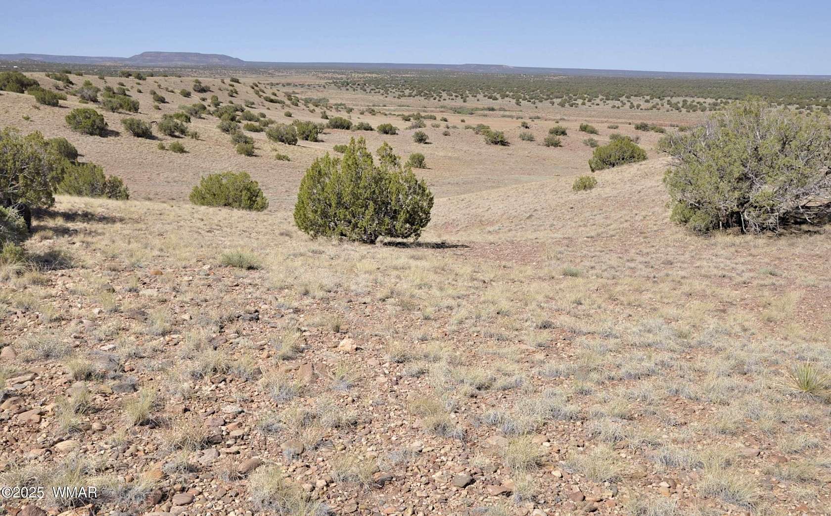 37.2 Acres of Land for Sale in Concho, Arizona