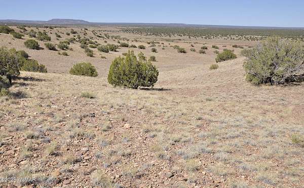 37.2 Acres of Land for Sale in Concho, Arizona
