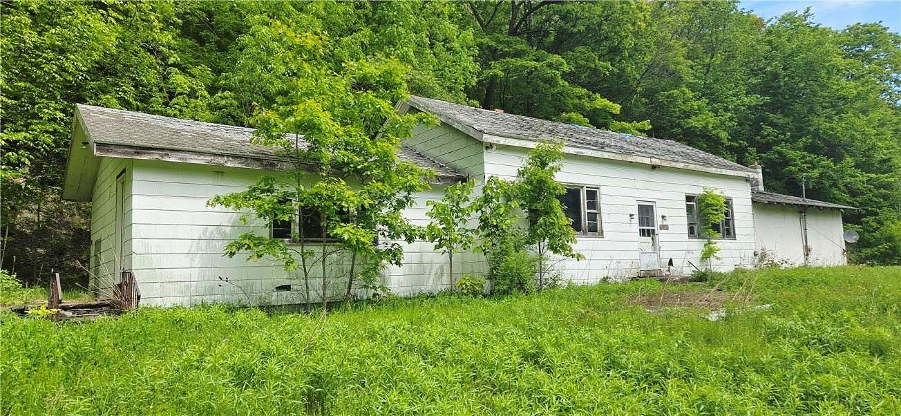 20.3 Acres of Improved Land for Sale in Grand Gorge, New York