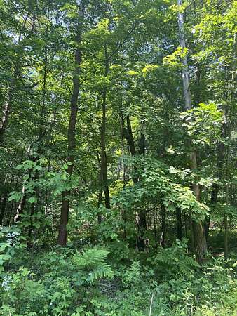 3 Acres of Residential Land for Sale in West Olive, Michigan