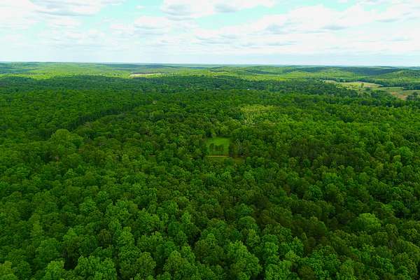 123 Acres of Land for Sale in Gatewood Township, Missouri